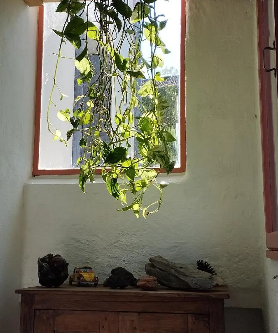 Chambre Dans Maison Chaleureuse Guilherand-Granges Homestay
